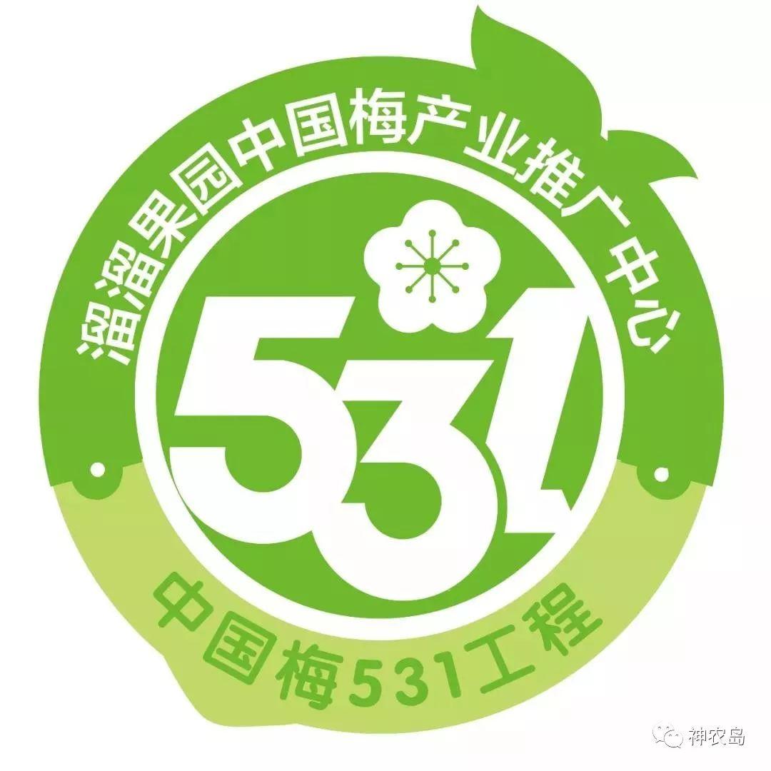 溜溜果园冲'梅+'第一股，业绩增长背后的财务数据异常波动揭秘