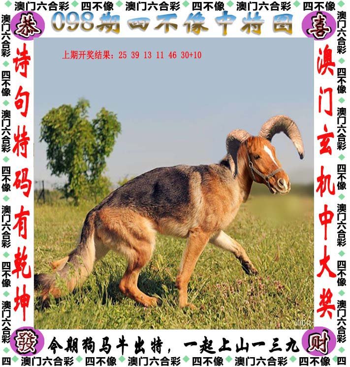 2025澳门精准正版免费四不像官方版,全面释义、解释与落实-警惕虚假宣传-全面释义、解释与落实