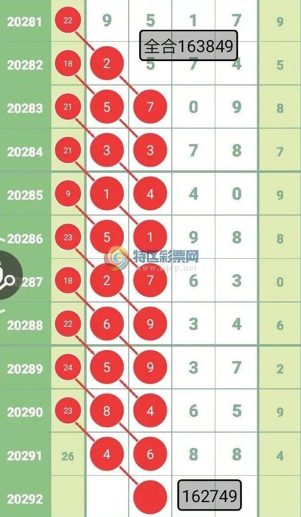 2025今晚必中必开一肖全面释义、解释与落实